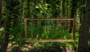 Детские мысли о лете