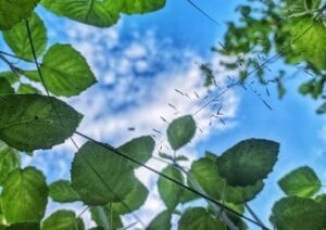 Летний отдых