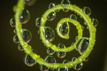 Энергия животворящей женственности