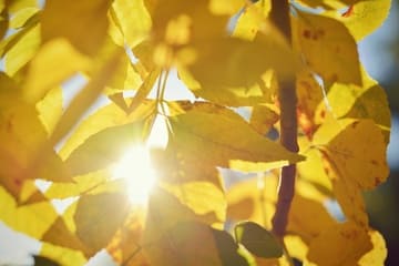 Мы перешли на новую ступеньку жизни