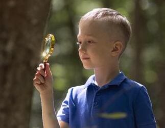 Все на улицу! 