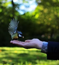 Незаконченные дела: причины и как справляться