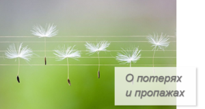 Главная