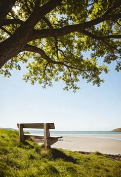 Как найти свой путь и раскрыть таланты