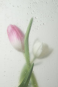 Зрение и память. Сейчас.