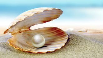 Дар застенчивости