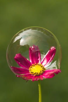 О конфликтах в паре