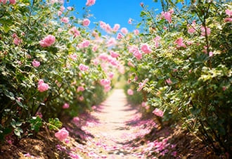 Нужны ли физические чистки организма?