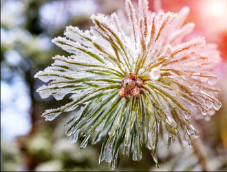 Еще раз про отверженность