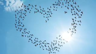 Еще раз о просьбах и желании исправлять других