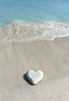 Петь свою песню