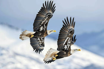 Душевная близость и отчуждение