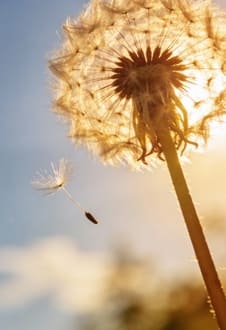 О благотворительности