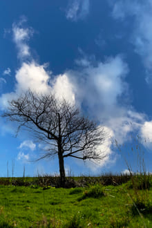 Школа семьи