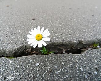 Дружба с телом