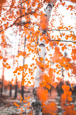 Ценность внутреннего покоя