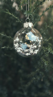 Новый год и новый мир