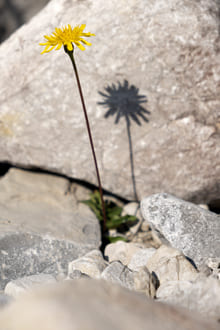 О многослойности текущих событий