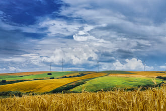 Симптомы новой реальности 2