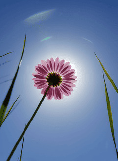 Ответы по существу