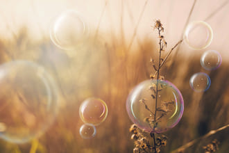 Ответы по существу