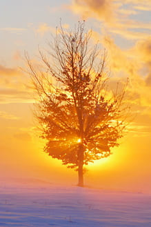 О компромиссах в отношениях