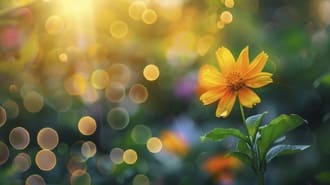 Лучить или не лучить: как делиться своей энергией?