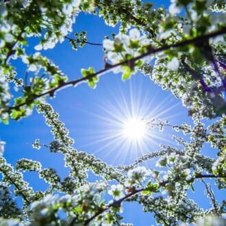 Возвращаясь к себе