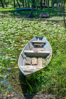 Режим «ускоренной перемотки»