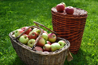 Целостная жизнь