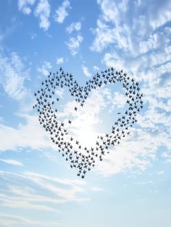 Жизнь от Души