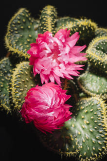 Как в отношениях оставаться хорошей и не сливаться?