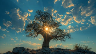 Как в отношениях оставаться хорошей и не сливаться?