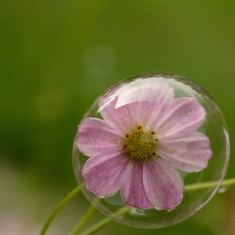 Растворение эго