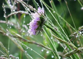 Наслаждаться жизнью