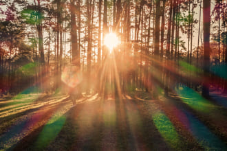 О дискомфортах ЖКТ