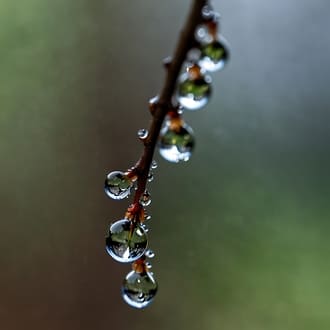 Соки новой жизни