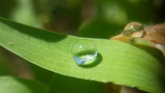 Соки новой жизни