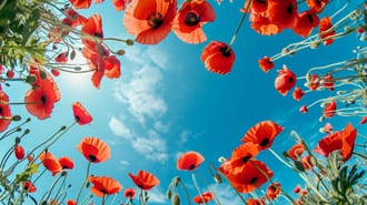 Исцеление прошлого