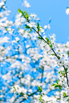 Фокус на сердце