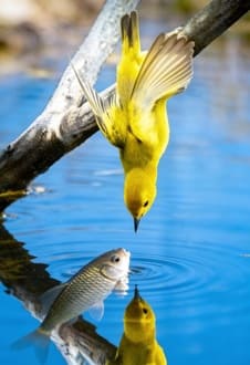 Наши дети и их "проблемы"