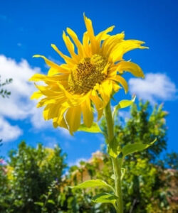 Преображая мир собой...