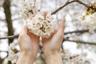 Лики женской натуры и выбор себя