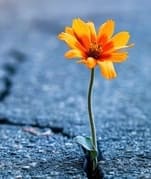 Общение с людьми в новых энергиях