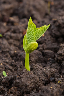 Уникальность каждого