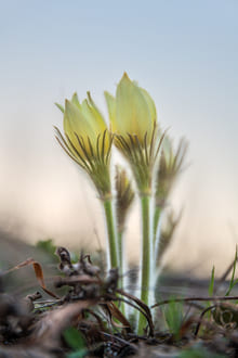 Уникальность каждого