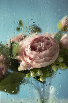 Центрированность в себе