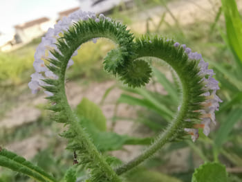 Завершение страницы