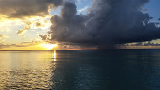 Если вас штормит