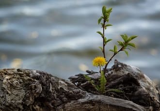 Если вас штормит